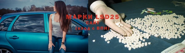 ГАЛЛЮЦИНОГЕННЫЕ ГРИБЫ Новозыбков