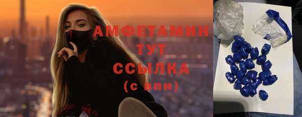 ГАЛЛЮЦИНОГЕННЫЕ ГРИБЫ Новозыбков