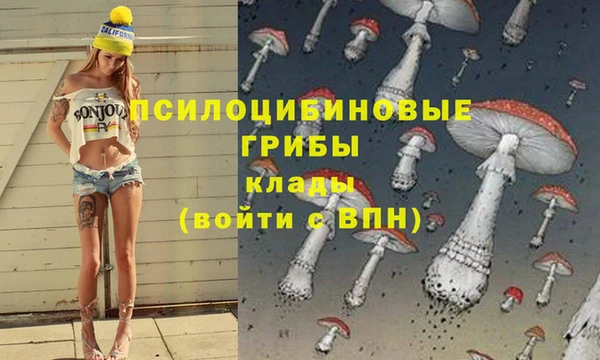 гашиш Новокубанск