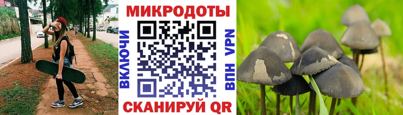 Галлюциногенные грибы Magic Shrooms  продажа наркотиков  omg вход  Электросталь 
