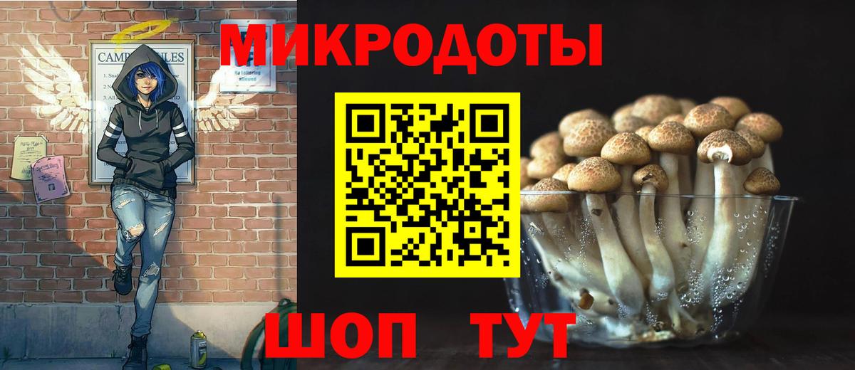Галлюциногенные грибы GOLDEN TEACHER Электросталь