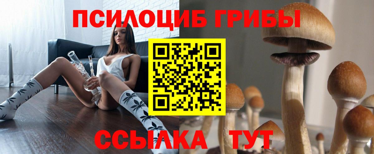 Псилоцибиновые грибы мухоморы  Вход с VPN  Электросталь 