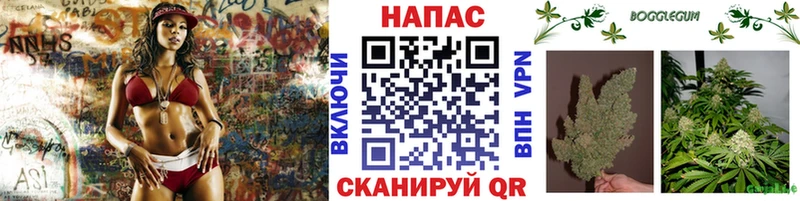 наркотики  Электросталь  Шишки марихуана MAZAR 
